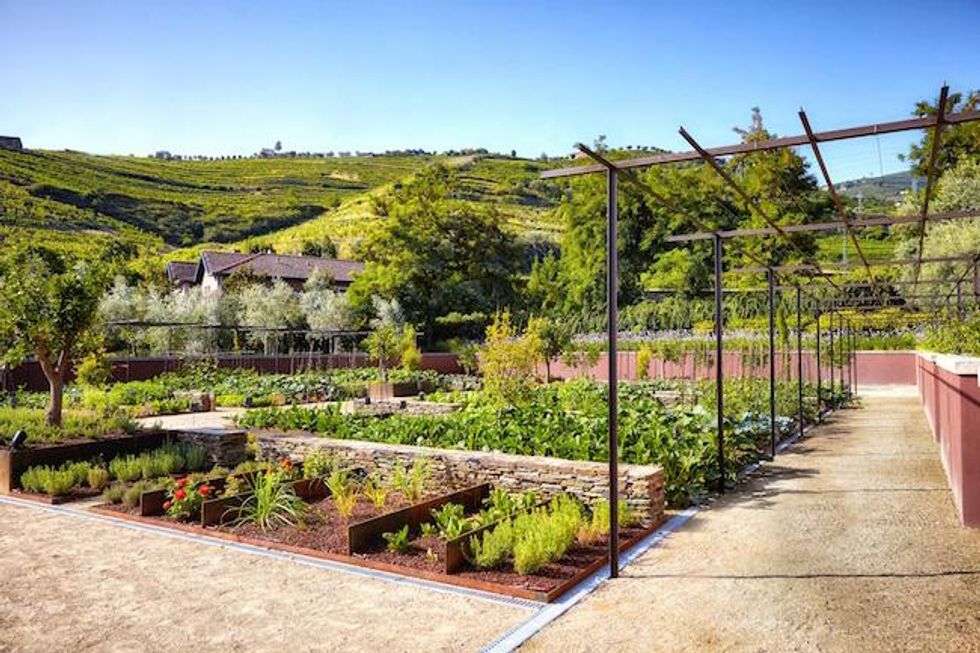 Six Senses Douro Valley