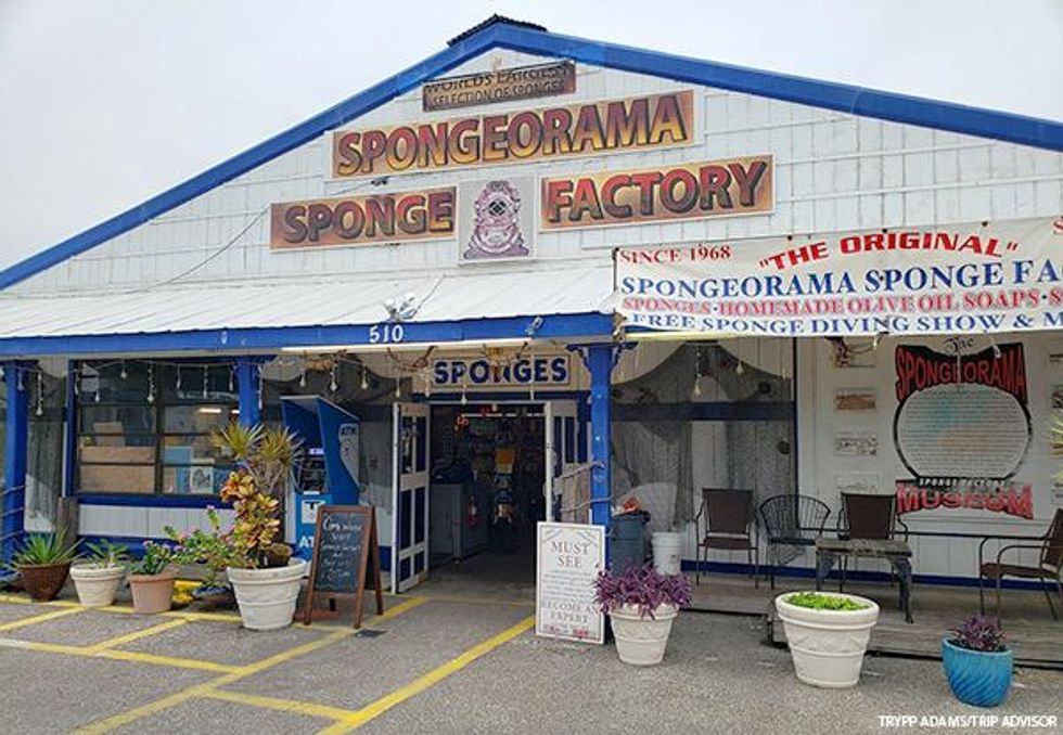 Spongeorama Sponge Factory