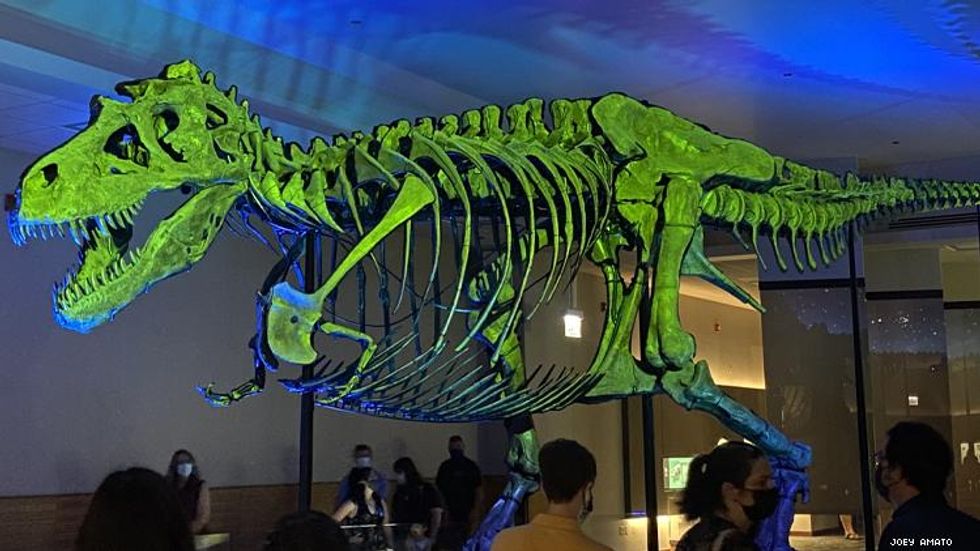 Sue T-Rex at Field Museum