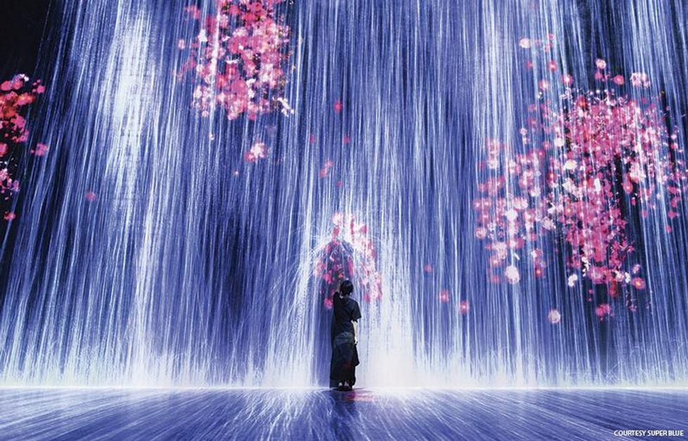 teamLab, Flowers and People Cannot be Controlled but Live Together at Superblue Miami