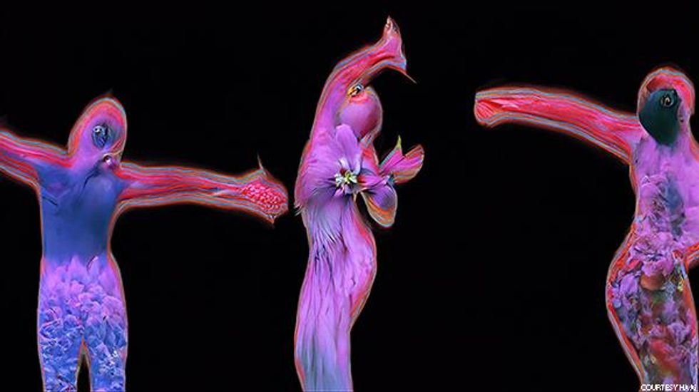 Teneil Throssell Ascends to Greatness