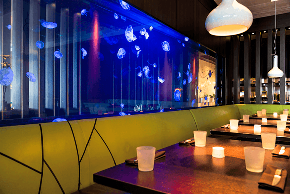 The "Detox, Retox, and Repeat" package from the W Fort Lauderdales is the perfect balance of food, fun, and fitness.