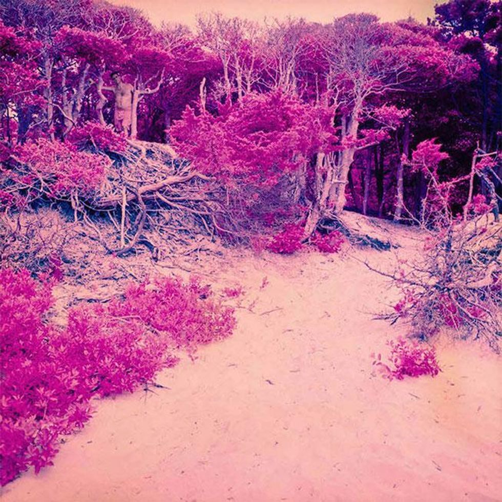 The Meat Rack by Sam Zalutsky