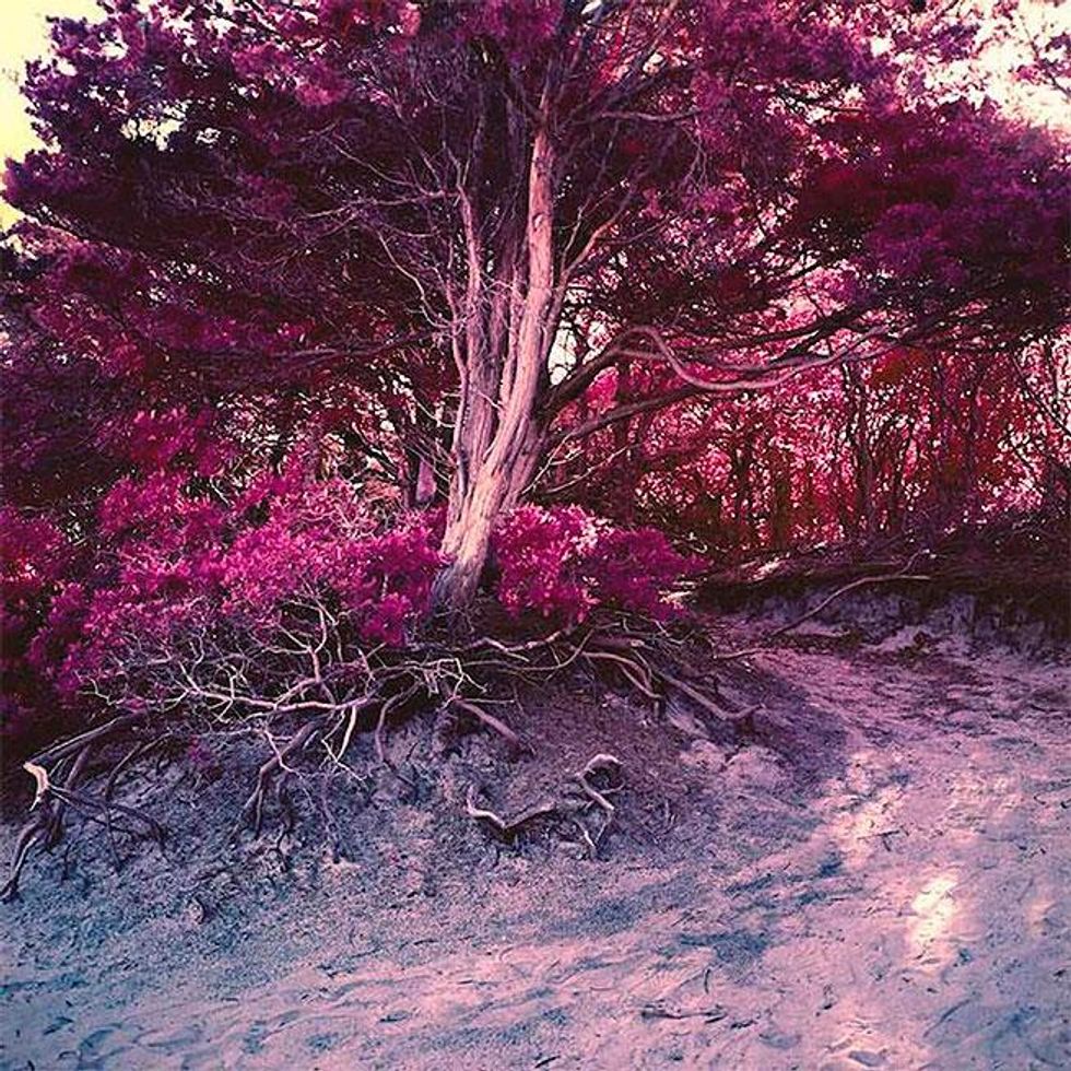 The Meat Rack by Sam Zalutsky