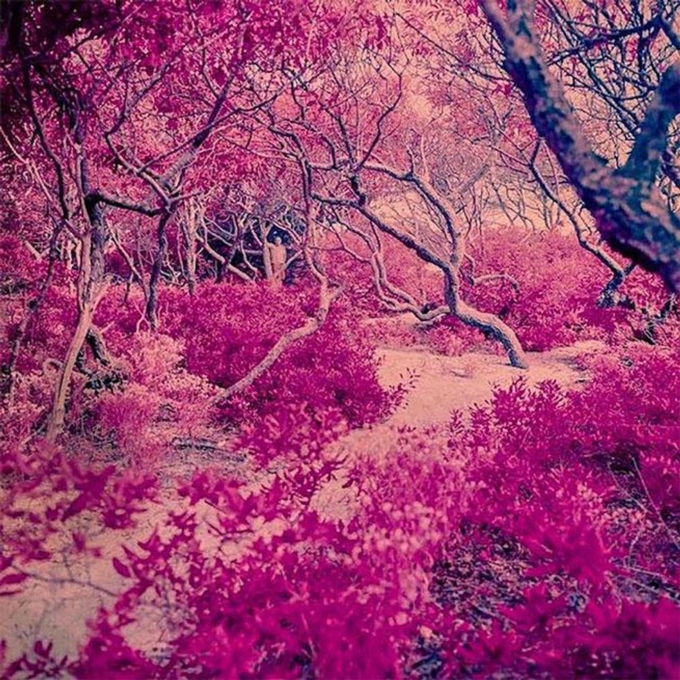 The Meat Rack by Sam Zalutsky