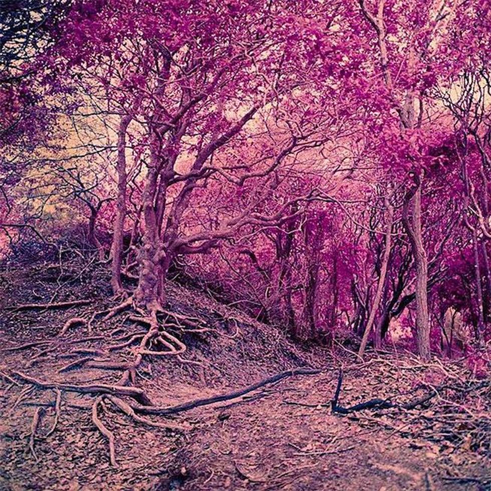 The Meat Rack by Sam Zalutsky