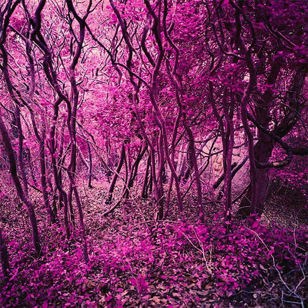 The Meat Rack by Sam Zalutsky