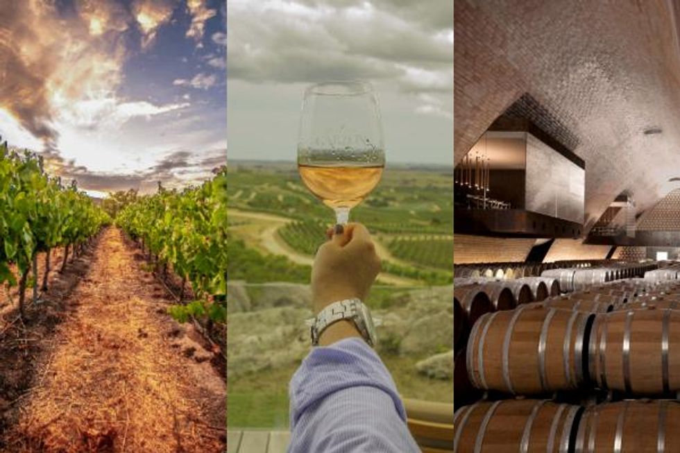 These 10 Vineyards Have Been Chosen as the World\u2019s Best \u2013 The wineries were chosen not just for their fine wines, but also as wine-tasting destinations.