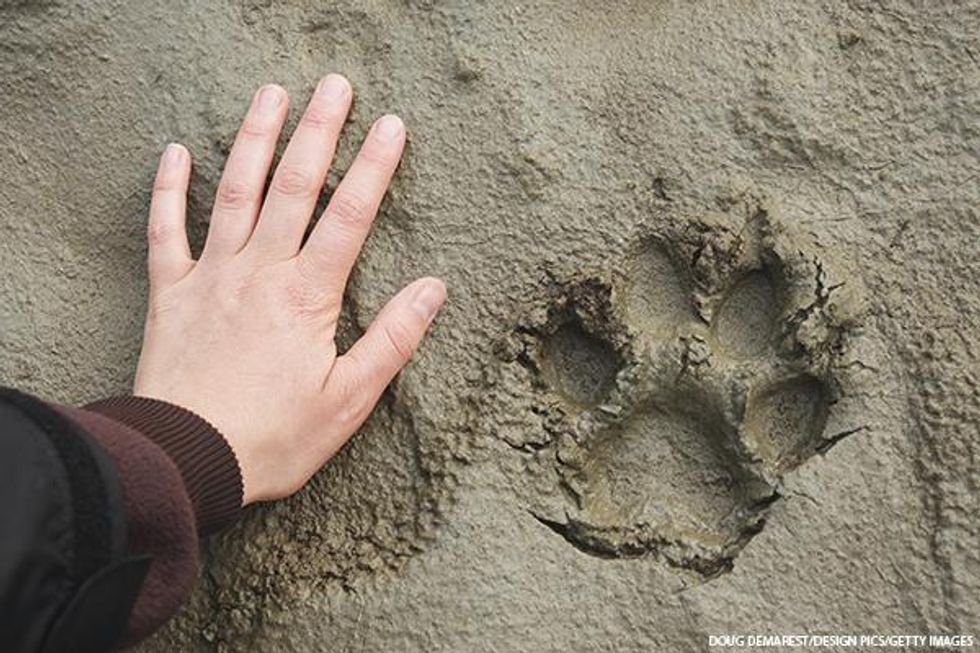 These are the 15 Least Visited National Parks