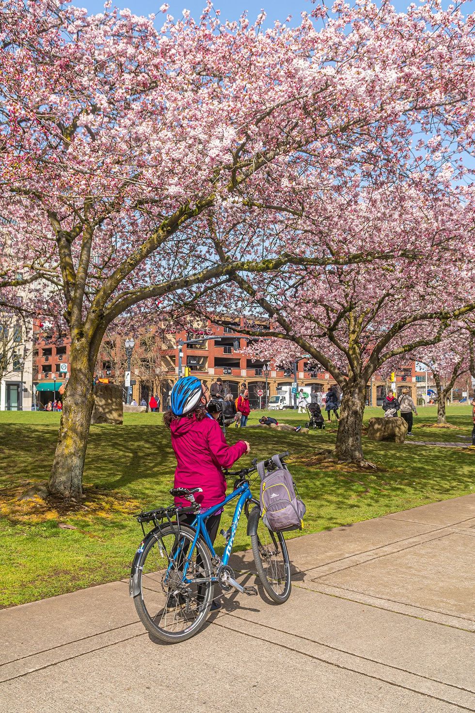 These Are the 15 Most LGBTQ-Friendly Cities in the U.S. \u2013 Portland, Oregon