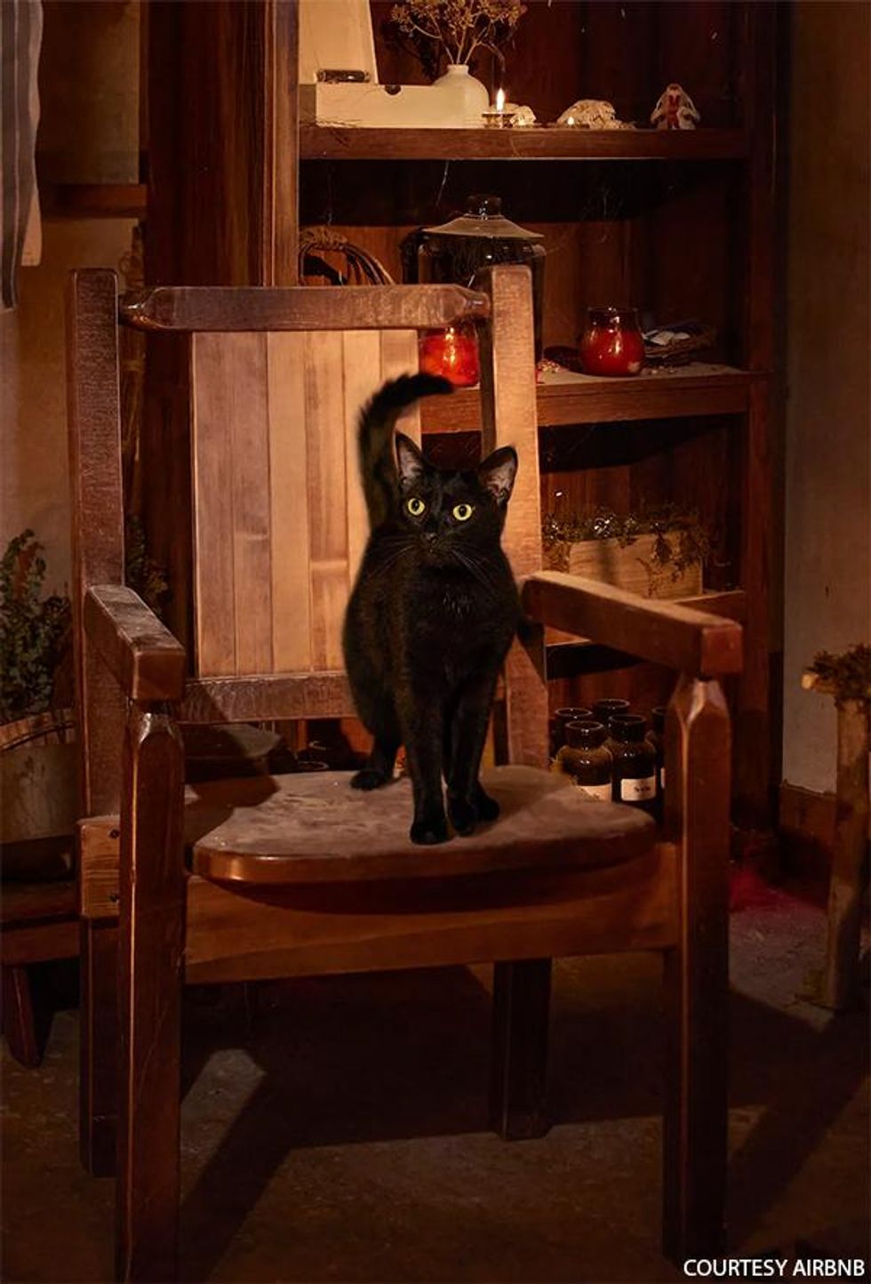 This recreation of the Sanderson sisters\u2019 haunted cottage is available on Airbnb, and for a lot less than you\u2019d think.