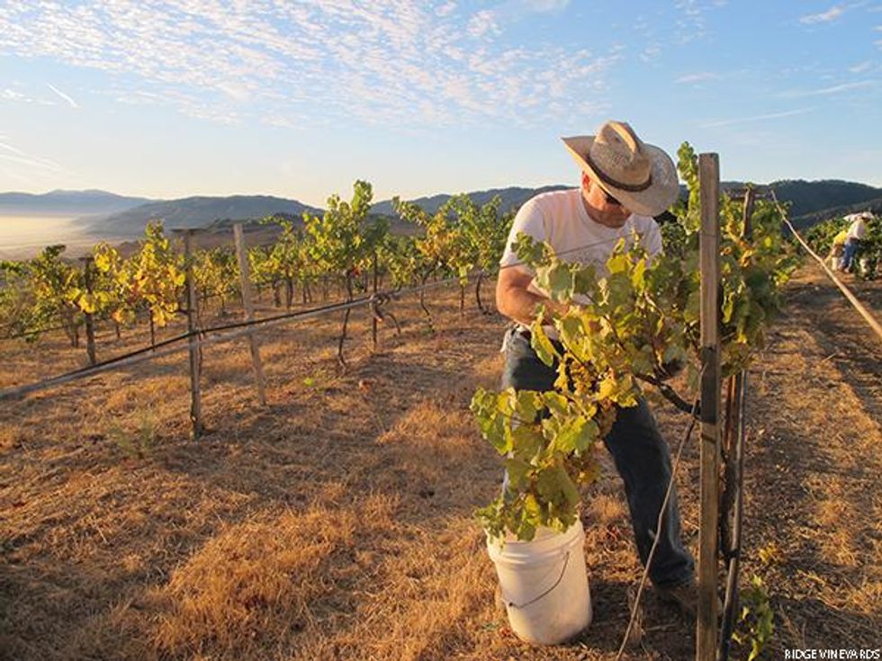 Top U.S. Vineyards for 2022 - 5. Ridge Vineyards \u2013 California