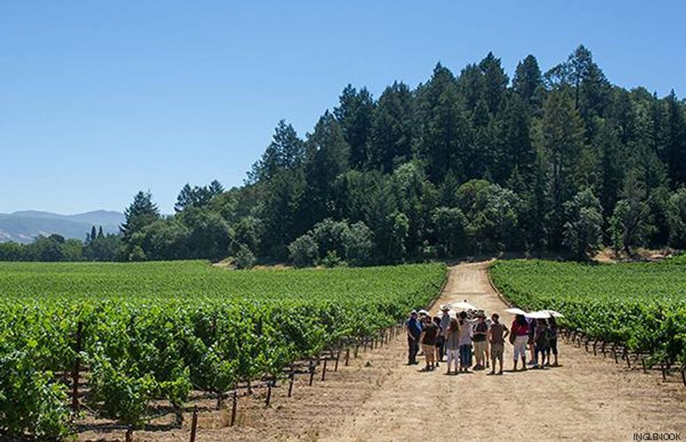 Top U.S. Vineyards for 2022 - 6. Inglenook \u2013 Napa Valley