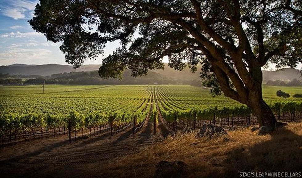 Top U.S. Vineyards for 2022 - 7. Stag\u2019s Leap Wine Cellars \u2013 California