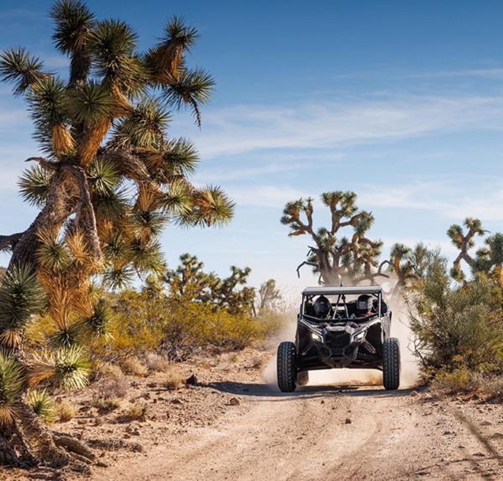 Two drivers in a UTV on a dirt road next to Joshua Trees