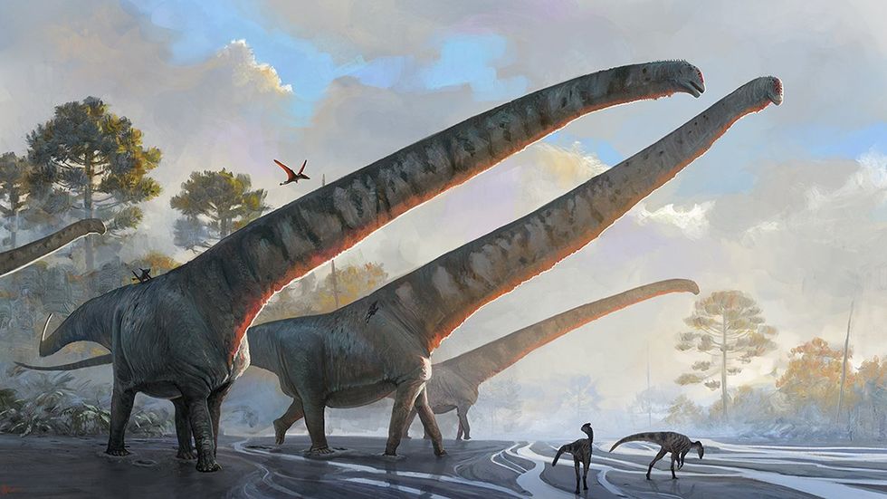 \u200bIf you\u2019re a size queen when it comes to extinct reptiles, then this is the sauropod for you.
