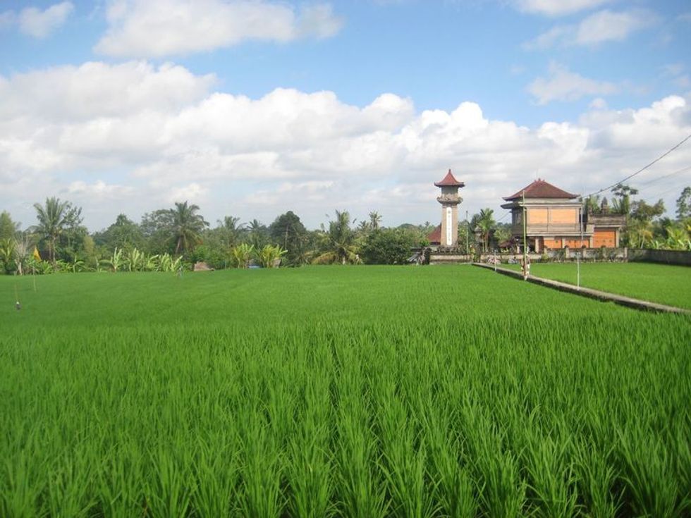 Ubud_bali