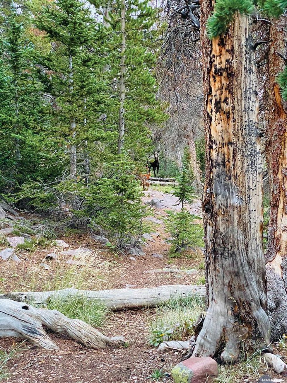 Utah\u2019s High Uintas Wilderness Offers Summer Serenity and Snow