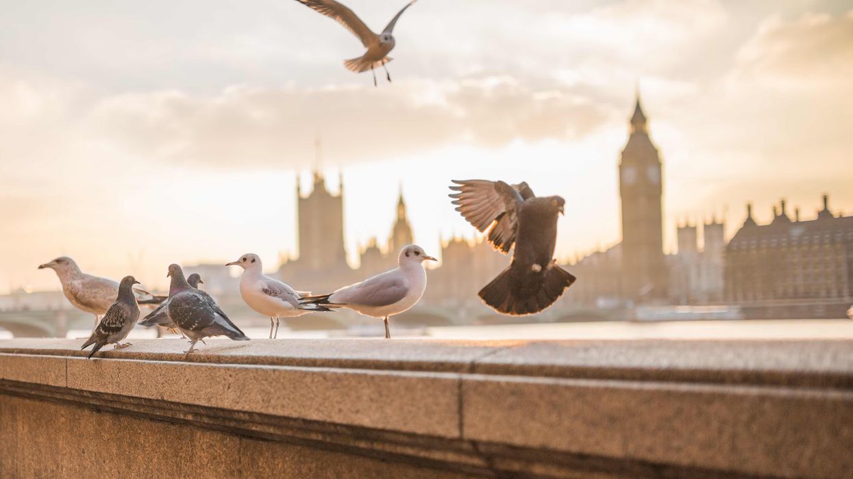 View across the Thames in London