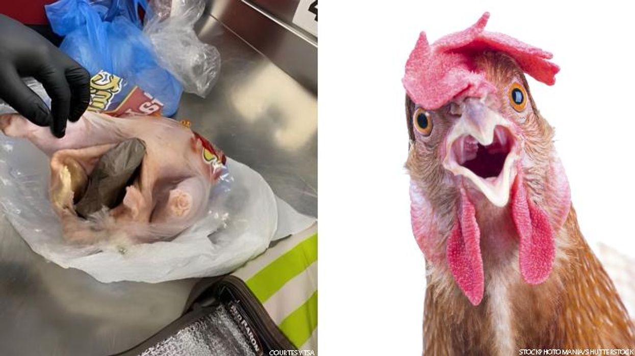 What the Cluck? TSA Finds Gun in Raw Chicken