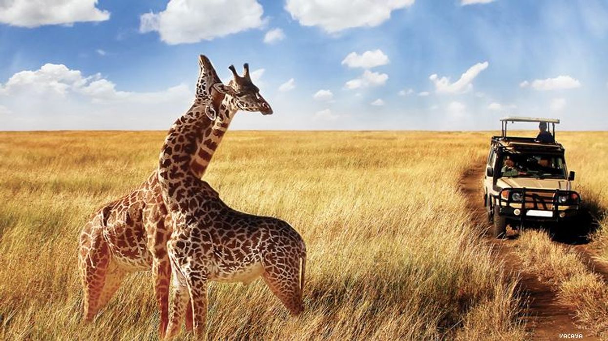 Why Vacaya Thinks Travel Can Change the World