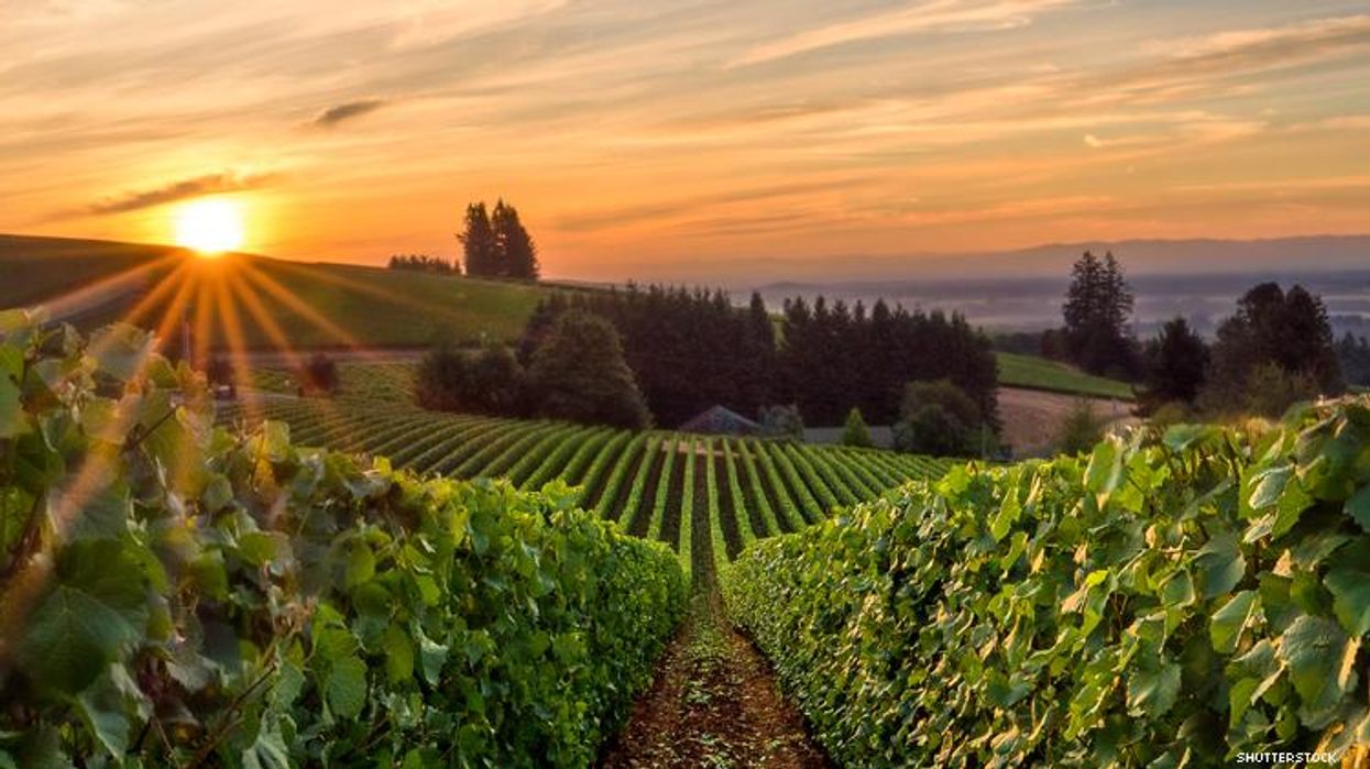 Willamette Valley Winery