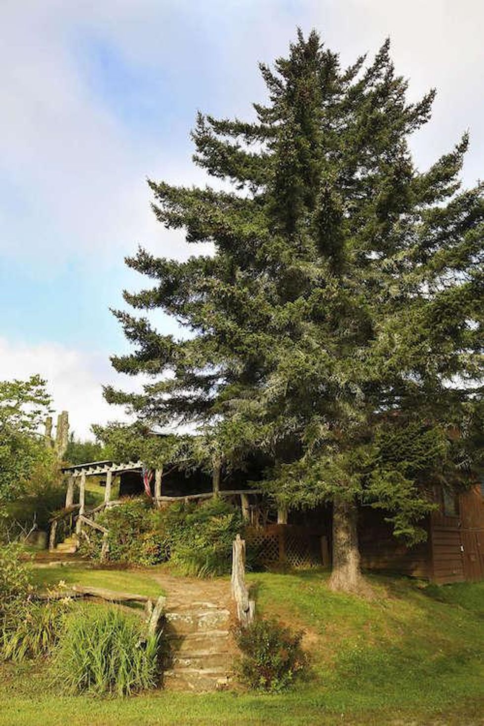 Wolf Mountain Historic Cabin - North Carolina