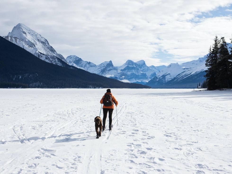 woman cross-country skiing across a frozen lake in Jasper National Park