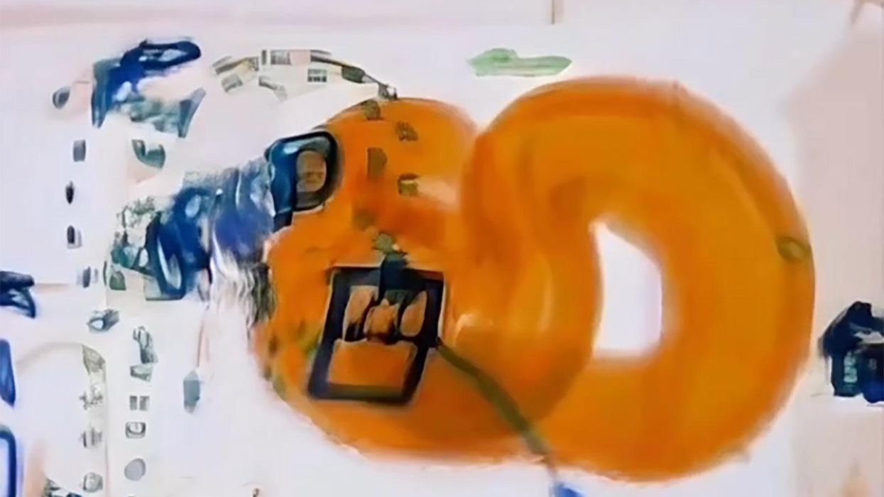 x-ray of snake in luggage