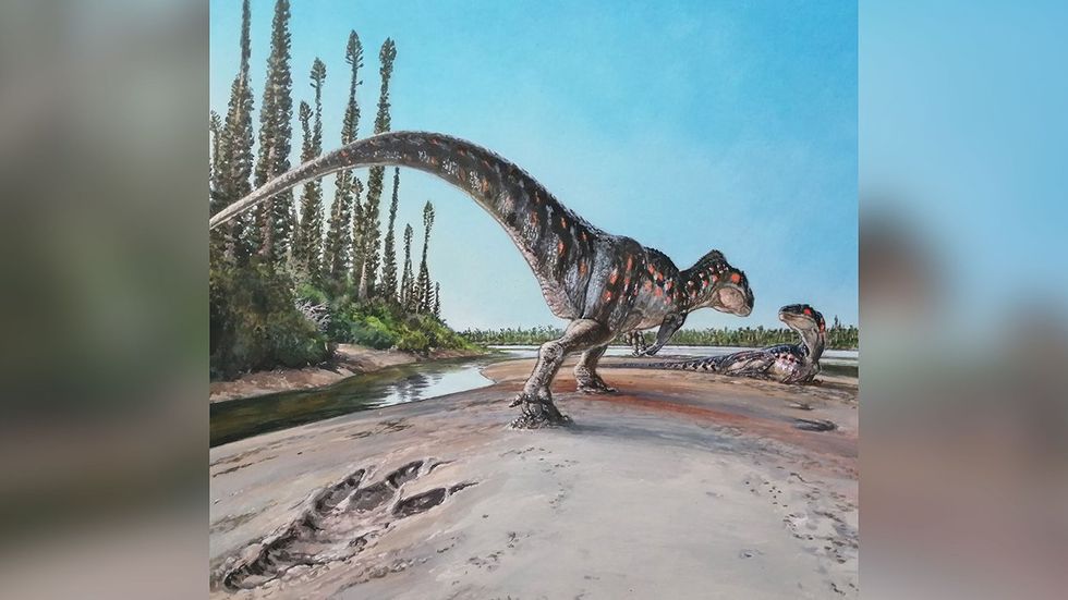Yorkshire's Dinosaur Coast Reveals Record-Breaking Footprints