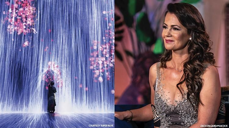 Real Housewives of Miami's Julia Lemigove on the Magic City