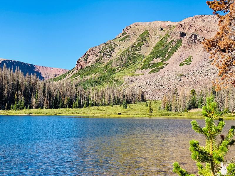 Utah’s High Uintas Wilderness Offers Summer Serenity and Snow