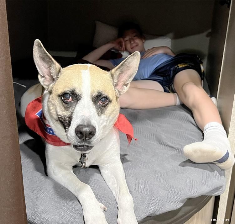 A dog and teen boy in a RV