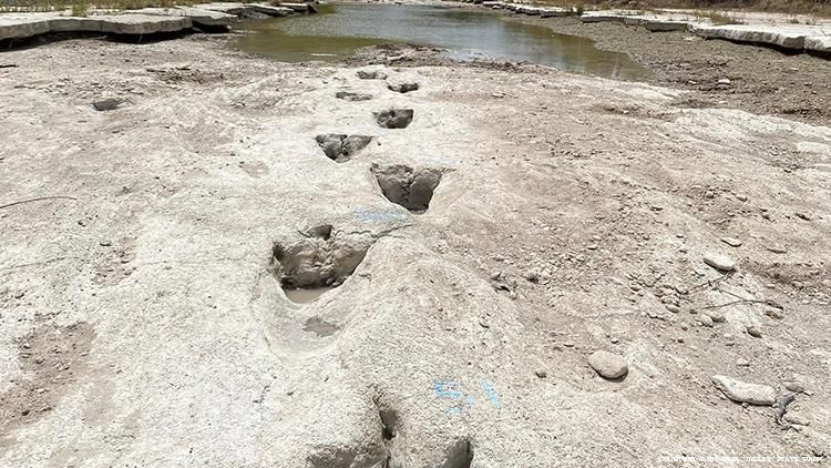 Drought Reveals Ancient Dinosaur Tracks in Texas