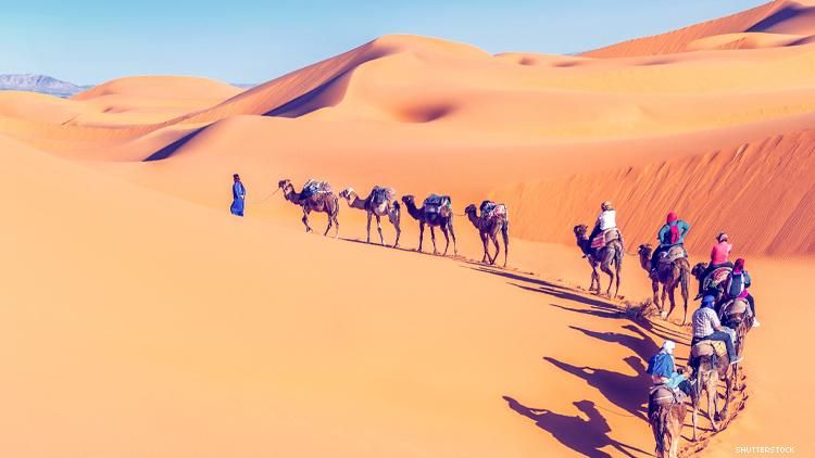 Camel Caravan in the Sahara desert