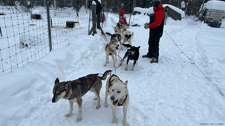 Yukon Offers Plenty of Adventure Year-Round, Including Dogsledding