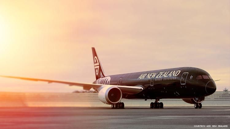 Air New Zealand Dreamliner airplane
