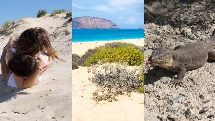 Canary Islands Triptych
