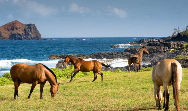 Discovering New and Old Maui in One Unforgettable Trip