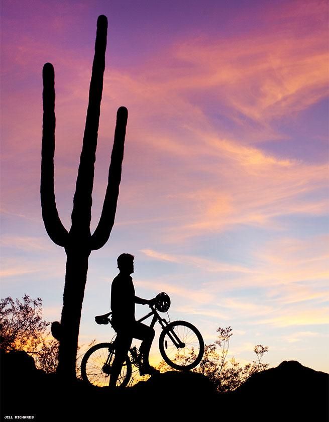 mountain biker at sunset next to cactus