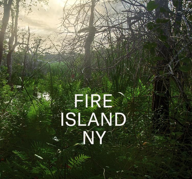 Ron Amato Retrospective Fire Island