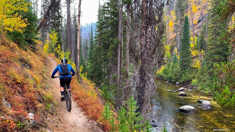 mountain bike rider on trail in Idaho