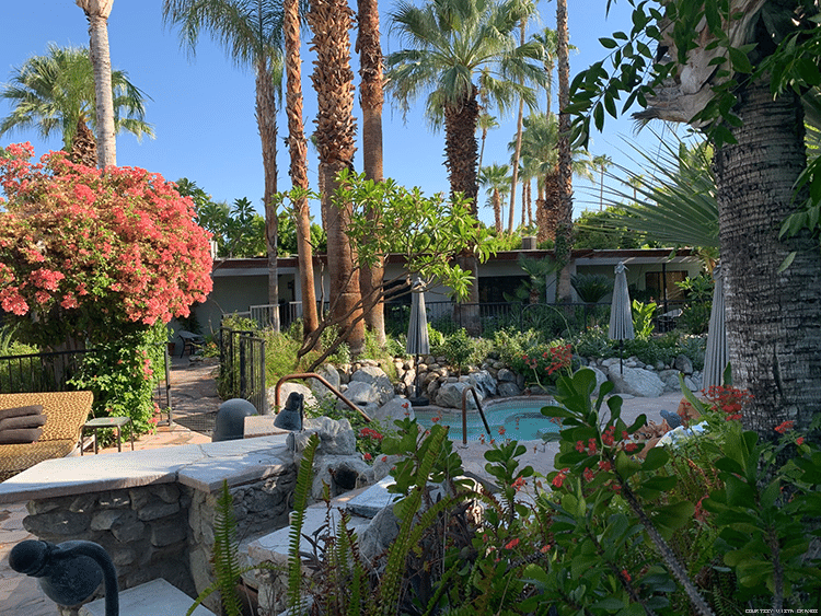 The Vista Grande is One of 7 Clothing-Optional Resorts That Are the Perfect Palm Springs Escape