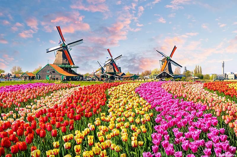 The Netherlands is the 9th safest country in Europe for 2022