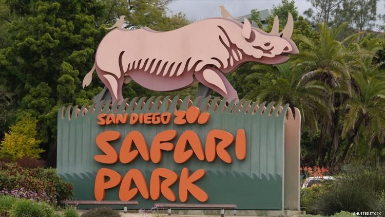 San Diego Zoo Safari Park – Escondido