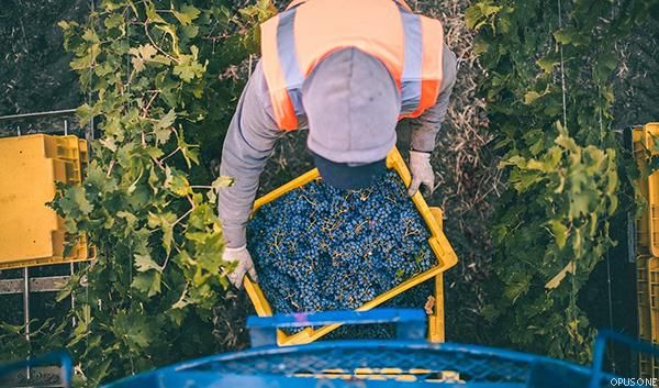 Top U.S. Vineyards for 2022 - 2. Opus One Winery – Napa